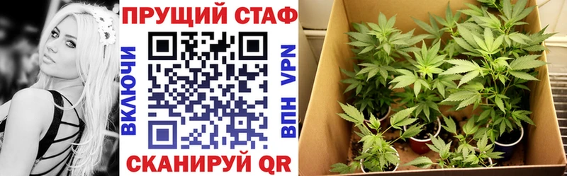 Как найти закладки Ейск Каннабис  Alpha PVP  Гашиш  Галлюциногенные грибы  Мефедрон 