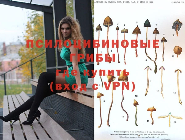 мескалин Бородино