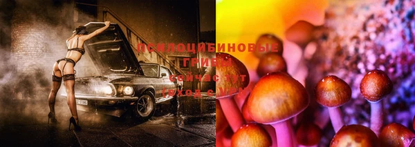 гашиш Богородицк